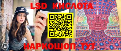 СК Пугачёв