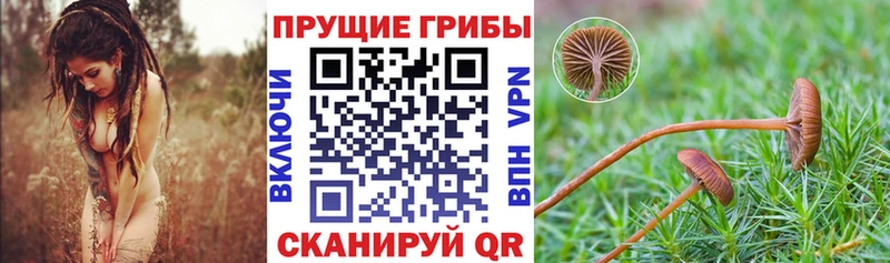 Псилоцибиновые грибы Magic Shrooms  где продают   Сарапул 