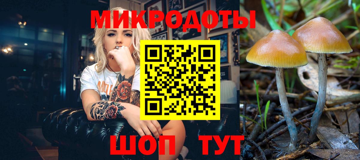 Псилоцибиновые грибы MAGIC MUSHROOMS Сарапул