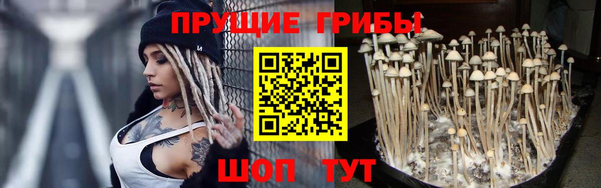 Сарапул  Галлюциногенные грибы Magic Shrooms  Вход с VPN  Галлюциногенные грибы Cubensis 