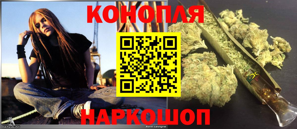 Каннабис сатива Сарапул